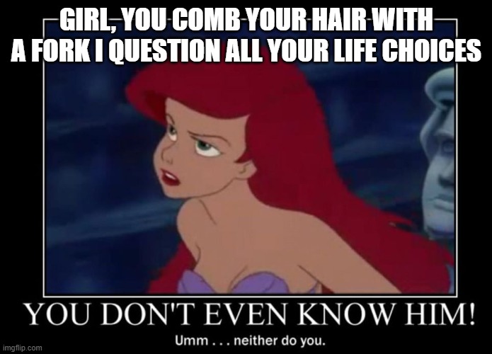 Questionable life choices | GIRL, YOU COMB YOUR HAIR WITH A FORK I QUESTION ALL YOUR LIFE CHOICES | image tagged in ariel don't know anyone | made w/ Imgflip meme maker