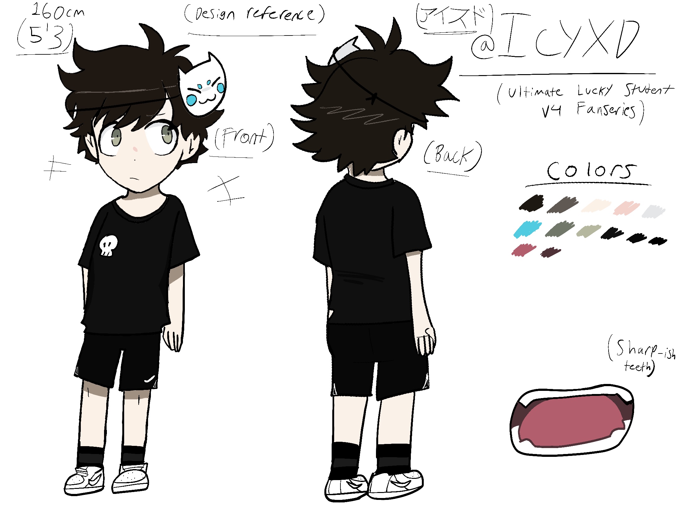 @IcyXD character design reference image Blank Meme Template