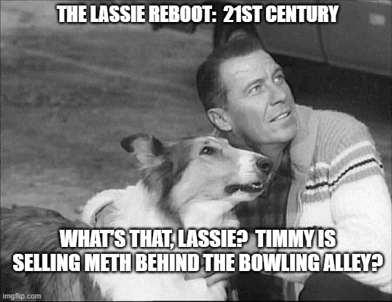 What's that Lassie? | THE LASSIE REBOOT:  21ST CENTURY; WHAT'S THAT, LASSIE?  TIMMY IS SELLING METH BEHIND THE BOWLING ALLEY? | image tagged in what's that lassie | made w/ Imgflip meme maker