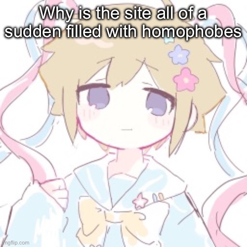 Why is the site all of a sudden filled with homophobes | image tagged in luckyguy17 basil nso alt template | made w/ Imgflip meme maker