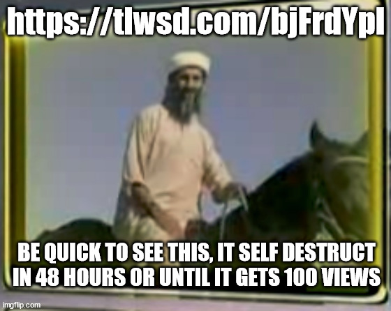 what you guys think? https://tlwsd.com/bjFrdYpl | https://tlwsd.com/bjFrdYpl; BE QUICK TO SEE THIS, IT SELF DESTRUCT IN 48 HOURS OR UNTIL IT GETS 100 VIEWS | image tagged in osama on horse | made w/ Imgflip meme maker