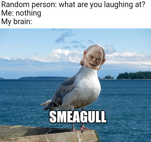 Smeagull | Random person: what are you laughing at?
Me: nothing
My brain:; SMEAGULL | image tagged in seagull,smeagol | made w/ Imgflip meme maker
