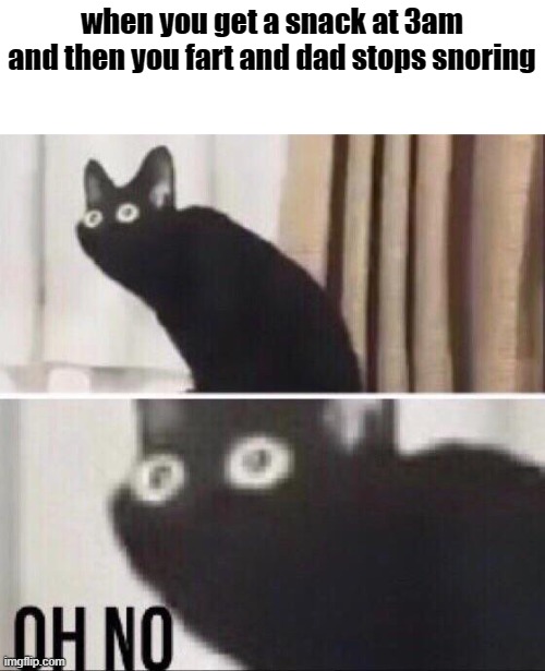 and then next thing u know, u feel something wet in ur pants | when you get a snack at 3am and then you fart and dad stops snoring | image tagged in oh no cat | made w/ Imgflip meme maker