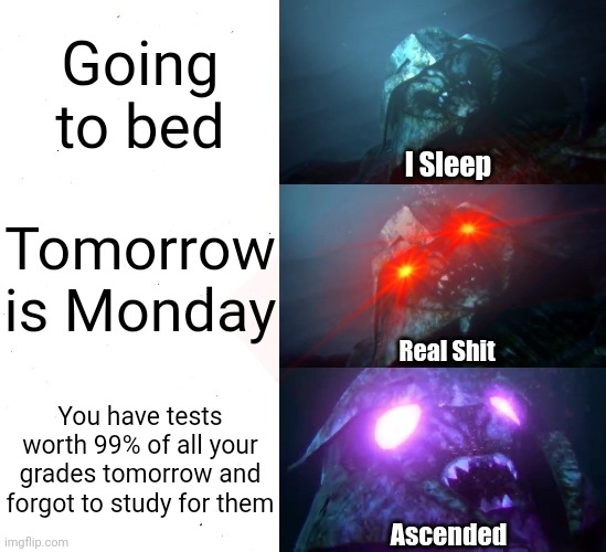 On a scale of one to ten, how true is this for you? | Going to bed; Tomorrow is Monday; You have tests worth 99% of all your grades tomorrow and forgot to study for them | image tagged in sleeping shaq tfp megatron style with ascended | made w/ Imgflip meme maker