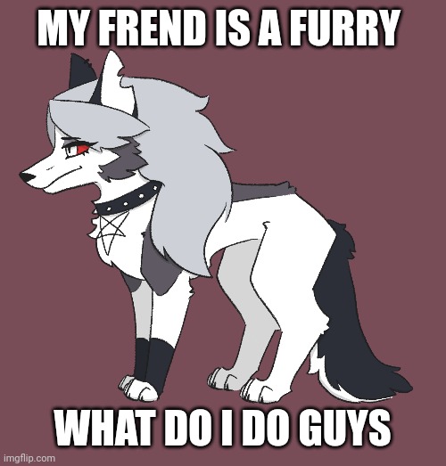 Ummmm | MY FREND IS A FURRY; WHAT DO I DO GUYS | image tagged in furry | made w/ Imgflip meme maker