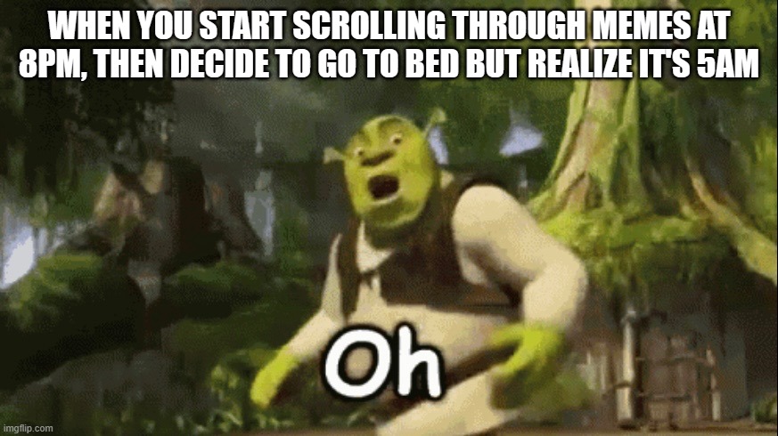 whoops. I've done this | WHEN YOU START SCROLLING THROUGH MEMES AT 8PM, THEN DECIDE TO GO TO BED BUT REALIZE IT'S 5AM | image tagged in shrek oh | made w/ Imgflip meme maker