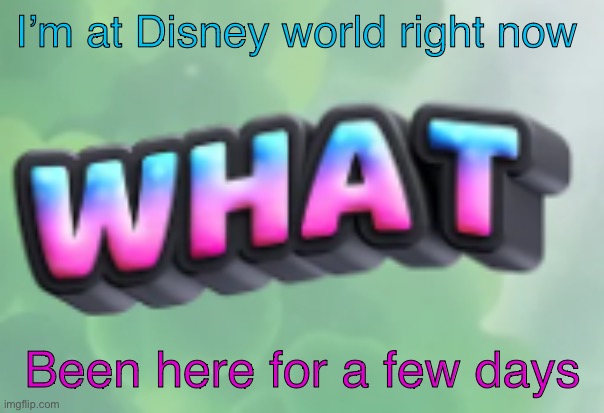 what | I’m at Disney world right now; Been here for a few days | image tagged in what | made w/ Imgflip meme maker