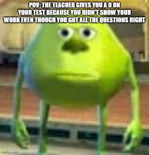 you didn't show your work. | POV: THE TEACHER GIVES YOU A 0 ON YOUR TEST BECAUSE YOU DIDN'T SHOW YOUR WORK EVEN THOUGH YOU GOT ALL THE QUESTIONS RIGHT | image tagged in sully wazowski | made w/ Imgflip meme maker