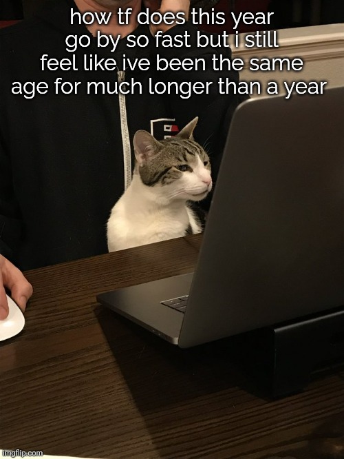 i feel like i might js be a grown man now | how tf does this year go by so fast but i still feel like ive been the same age for much longer than a year | image tagged in stare | made w/ Imgflip meme maker