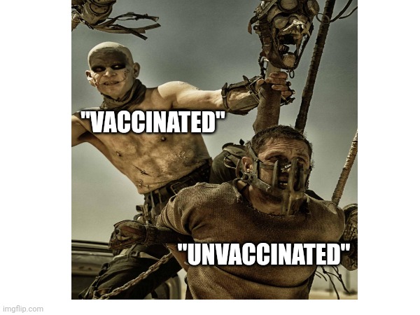 One possible future | "VACCINATED"; "UNVACCINATED" | image tagged in mad max | made w/ Imgflip meme maker