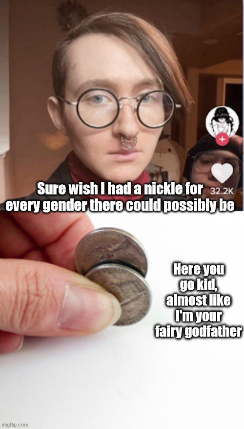 Sure wish I had a nickle for every gender there could possibly be; Here you go kid, almost like I'm your fairy godfather | image tagged in adalf twinker,2 genders | made w/ Imgflip meme maker