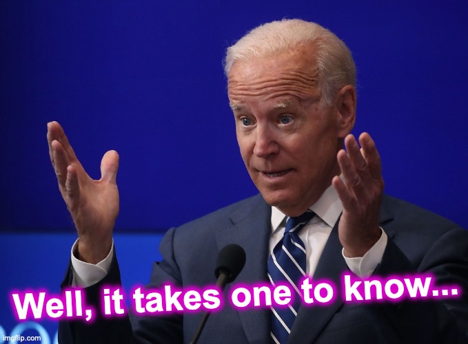 Joe Biden - Hands Up | Well, it takes one to know... | image tagged in joe biden - hands up | made w/ Imgflip meme maker