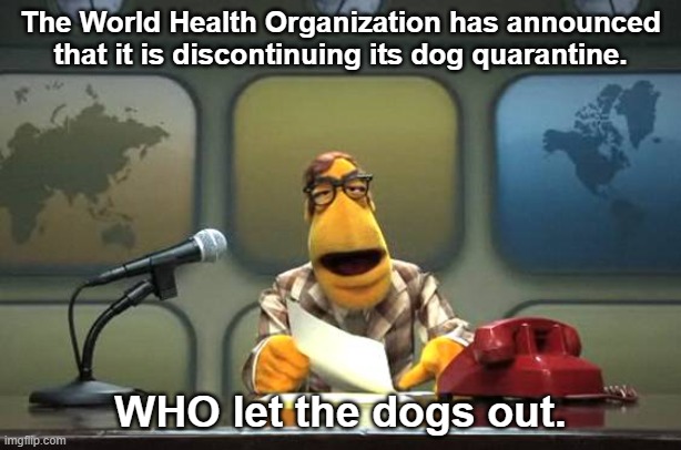 Muppet News Flash | The World Health Organization has announced that it is discontinuing its dog quarantine. WHO let the dogs out. | image tagged in muppet news flash,dogs,united nations,bad pun | made w/ Imgflip meme maker