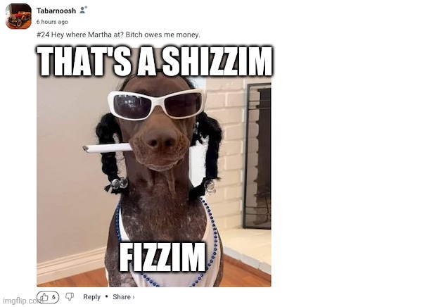 If Snoop was a Dog | THAT'S A SHIZZIM FIZZIM | image tagged in if snoop was a dog | made w/ Imgflip meme maker