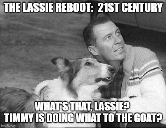 What's that Lassie? | THE LASSIE REBOOT:  21ST CENTURY; WHAT'S THAT, LASSIE?  TIMMY IS DOING WHAT TO THE GOAT? | image tagged in what's that lassie | made w/ Imgflip meme maker