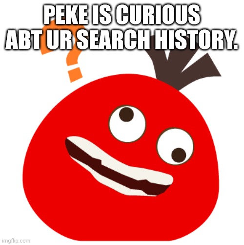 Huh? Peke | PEKE IS CURIOUS ABT UR SEARCH HISTORY. | image tagged in huh peke | made w/ Imgflip meme maker