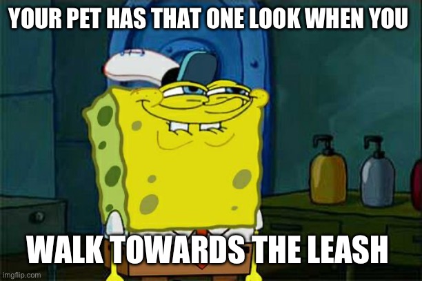 Don't You Squidward Meme | YOUR PET HAS THAT ONE LOOK WHEN YOU; WALK TOWARDS THE LEASH | image tagged in memes,don't you squidward | made w/ Imgflip meme maker