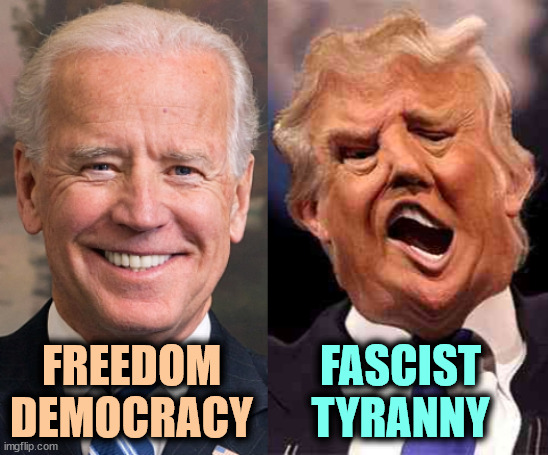 Which is American? Which is un-American? | FREEDOM
DEMOCRACY; FASCIST
TYRANNY | image tagged in biden solid stable trump acid drugs,biden,freedom,democracy,trump,fascist | made w/ Imgflip meme maker