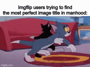 There is no title - Imgflip