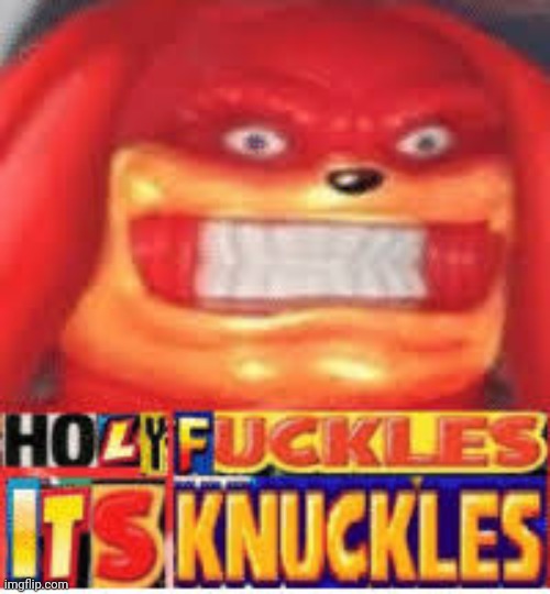 Holy F*ckles it's Knuckles | image tagged in holy f ckles it's knuckles | made w/ Imgflip meme maker