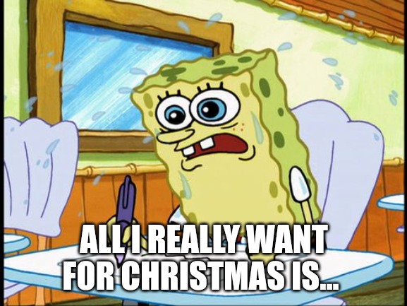 All I really want for Christmas is... | ALL I REALLY WANT FOR CHRISTMAS IS... | image tagged in what i learned in boating school is | made w/ Imgflip meme maker