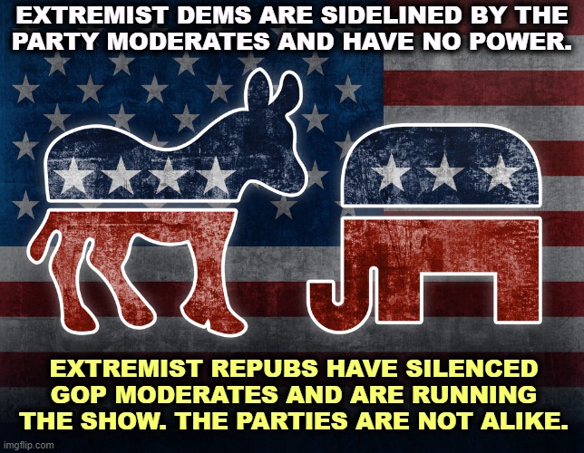 Elephant and Donkey | EXTREMIST DEMS ARE SIDELINED BY THE
PARTY MODERATES AND HAVE NO POWER. EXTREMIST REPUBS HAVE SILENCED GOP MODERATES AND ARE RUNNING THE SHOW. THE PARTIES ARE NOT ALIKE. | image tagged in elephant and donkey,democrats,moderate,republicans,extreme,incompetence | made w/ Imgflip meme maker