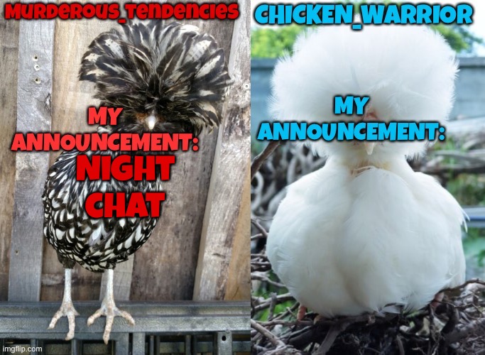 Chicken and murderous | Night chat | image tagged in chicken and murderous | made w/ Imgflip meme maker