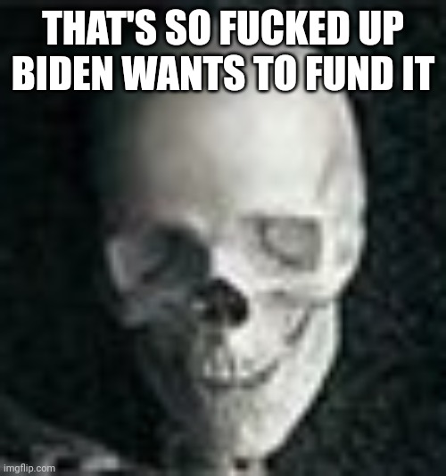 Skull | THAT'S SO FUCKED UP BIDEN WANTS TO FUND IT | image tagged in skull | made w/ Imgflip meme maker