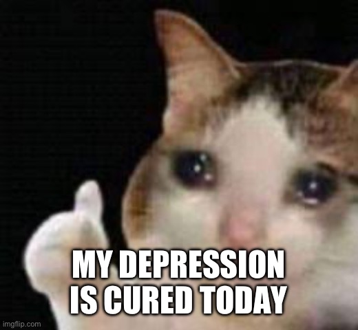 Approved crying cat | MY DEPRESSION IS CURED TODAY | image tagged in approved crying cat | made w/ Imgflip meme maker