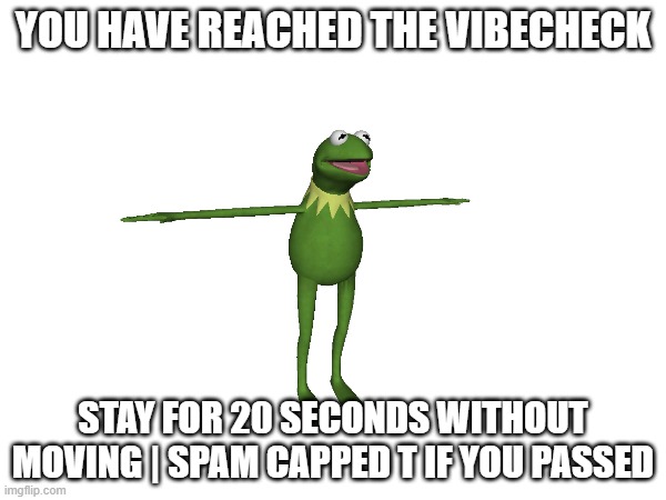 vibecheck | YOU HAVE REACHED THE VIBECHECK; STAY FOR 20 SECONDS WITHOUT MOVING | SPAM CAPPED T IF YOU PASSED | image tagged in memes | made w/ Imgflip meme maker