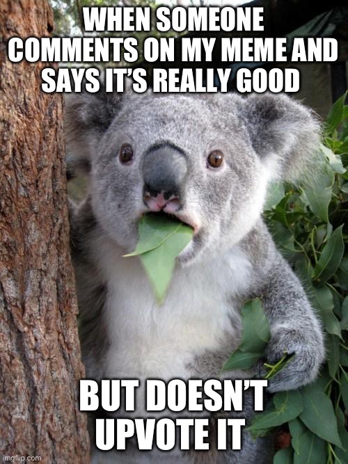 Whyyyy | WHEN SOMEONE COMMENTS ON MY MEME AND SAYS IT’S REALLY GOOD; BUT DOESN’T UPVOTE IT | image tagged in memes,surprised koala,upvotes,upvote begging,whyyy,crazy | made w/ Imgflip meme maker