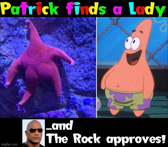 But it's hard for him to make eye contact | image tagged in vince vance,patrick star,the rock,memes,cartoons,star fish | made w/ Imgflip meme maker