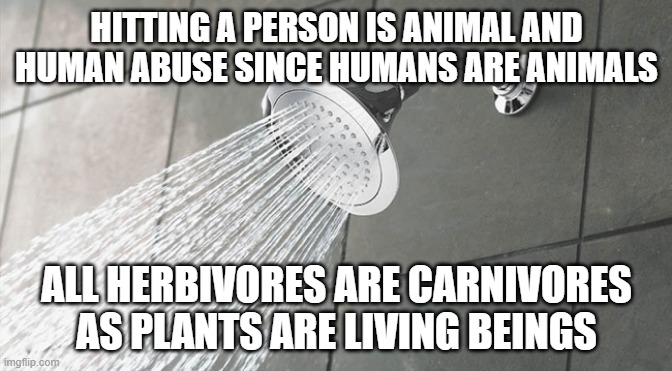 these keep me up at night..... | HITTING A PERSON IS ANIMAL AND HUMAN ABUSE SINCE HUMANS ARE ANIMALS; ALL HERBIVORES ARE CARNIVORES AS PLANTS ARE LIVING BEINGS | image tagged in shower thoughts | made w/ Imgflip meme maker