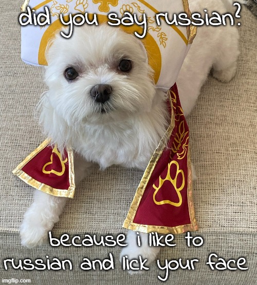did you say russian? because i like to russian and lick your face | made w/ Imgflip meme maker