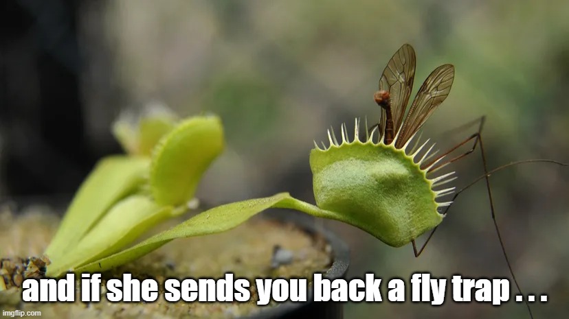 and if she sends you back a fly trap . . . | made w/ Imgflip meme maker