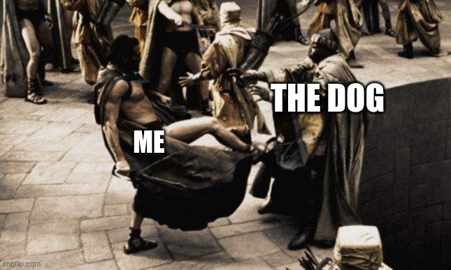 Sparta Kick | THE DOG ME | image tagged in sparta kick | made w/ Imgflip meme maker
