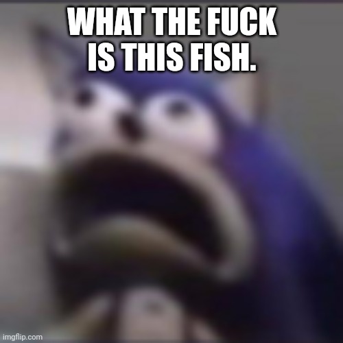 distress | WHAT THE FUCK IS THIS FISH. | image tagged in distress | made w/ Imgflip meme maker