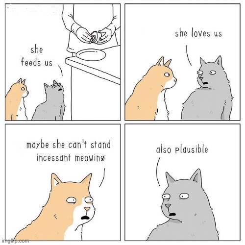Two cats | image tagged in cats,feeds us,loves us,cannot stand meowing,plausable | made w/ Imgflip meme maker