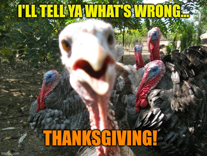 Turkeys | I'LL TELL YA WHAT'S WRONG... THANKSGIVING! | image tagged in turkeys | made w/ Imgflip meme maker