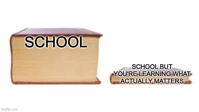 For real | SCHOOL; SCHOOL BUT YOU'RE LEARNING WHAT ACTUALLY MATTERS | image tagged in big book small book | made w/ Imgflip meme maker