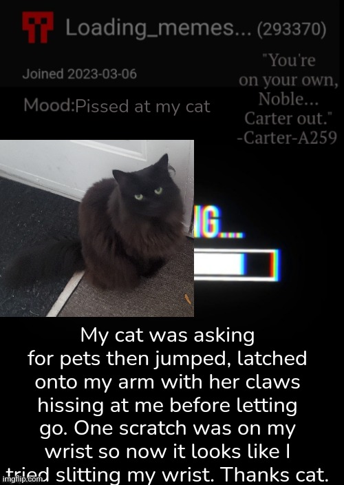 Loading_Memes... announcement 2 | Pissed at my cat; My cat was asking for pets then jumped, latched onto my arm with her claws hissing at me before letting go. One scratch was on my wrist so now it looks like I tried slitting my wrist. Thanks cat. | image tagged in loading_memes announcement 2 | made w/ Imgflip meme maker