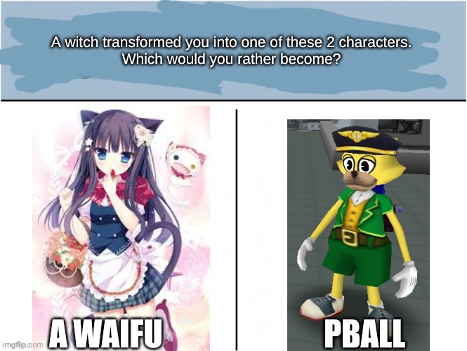 A witch transformed you into one of these 2 characters | PBALL; A WAIFU | image tagged in a witch transformed you into one of these 2 characters | made w/ Imgflip meme maker