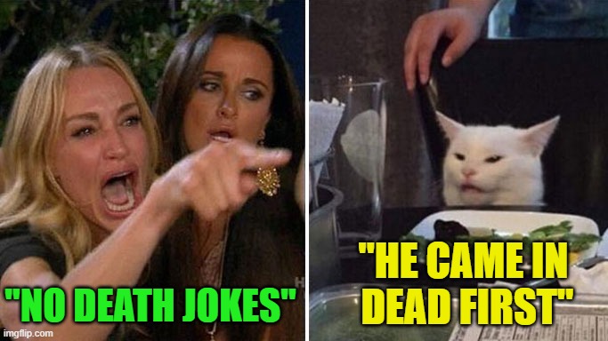 Angry lady cat | "NO DEATH JOKES" "HE CAME IN  DEAD FIRST" | image tagged in angry lady cat | made w/ Imgflip meme maker