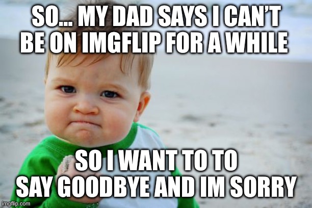 Plz dont hate me in comms | SO… MY DAD SAYS I CAN’T BE ON IMGFLIP FOR A WHILE; SO I WANT TO TO SAY GOODBYE AND IM SORRY | image tagged in memes,success kid original | made w/ Imgflip meme maker