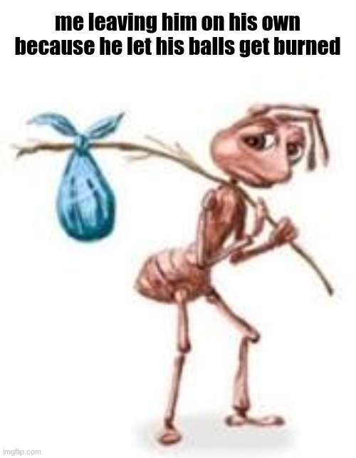 Sad ant with bindle | me leaving him on his own because he let his balls get burned | image tagged in sad ant with bindle | made w/ Imgflip meme maker