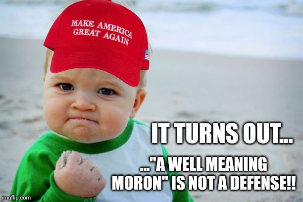 But...but...but....he saod it was true, and i guess i beleived him..... | IT TURNS OUT... ..."A WELL MEANING MORON" IS NOT A DEFENSE!! | image tagged in memes,success kid original | made w/ Imgflip meme maker