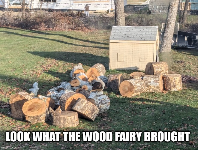 LOOK WHAT THE WOOD FAIRY BROUGHT | image tagged in wood | made w/ Imgflip meme maker