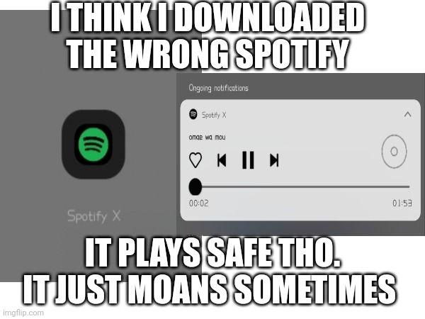 ?? | I THINK I DOWNLOADED THE WRONG SPOTIFY; IT PLAYS SAFE THO. IT JUST MOANS SOMETIMES | image tagged in music,crazy,suprise | made w/ Imgflip meme maker