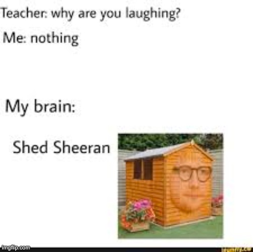 Bruh | image tagged in funny,ed sheeran,why are you laughing | made w/ Imgflip meme maker