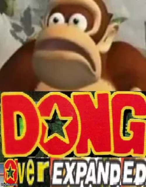 Dong over expanded | image tagged in dong over expanded | made w/ Imgflip meme maker